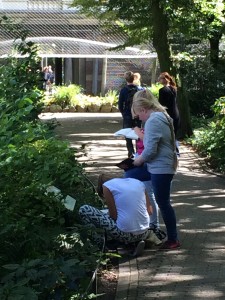 schetsen in de dummie